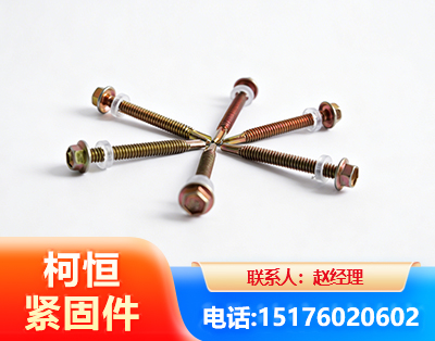 阜阳六角钻尾丝