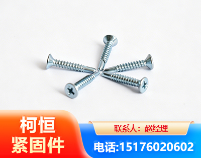 阜阳平头钻尾丝